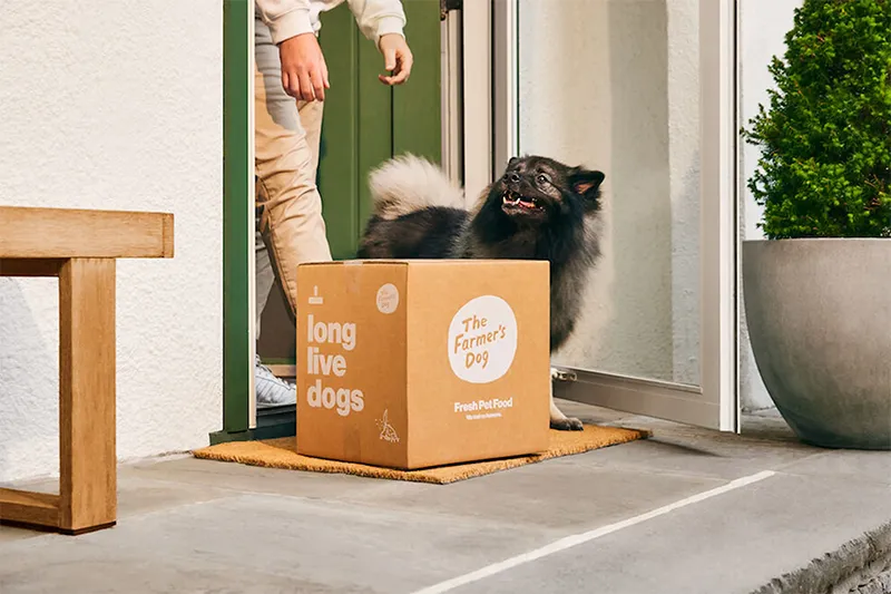 Viral-Ready Unboxing Pet Subscription Wellpappkartons